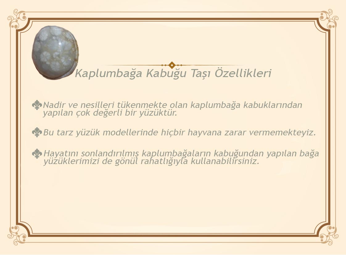 Bağa Üzerine Sedef Kakma Bağa Üzerine Sedef Kakma